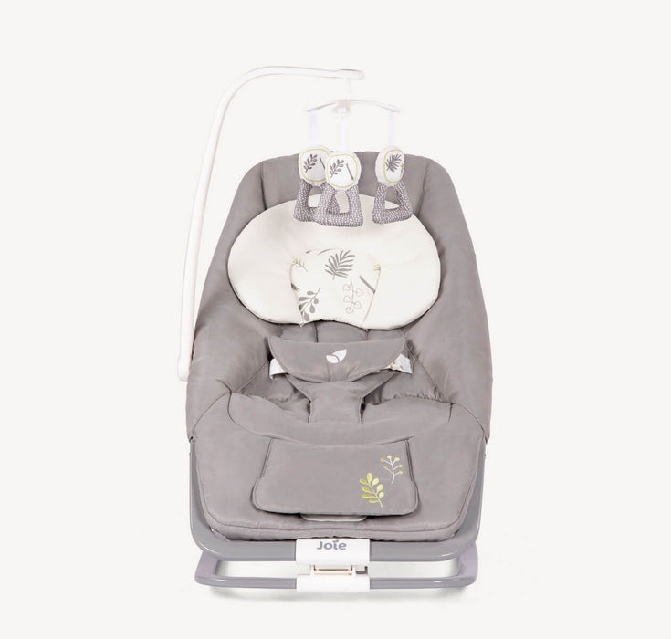 Joie Dreamer Baby Bouncer - Fern