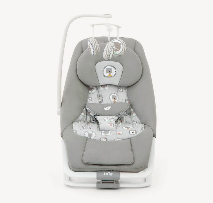 Joie Dreamer Baby Bouncer - Portrait