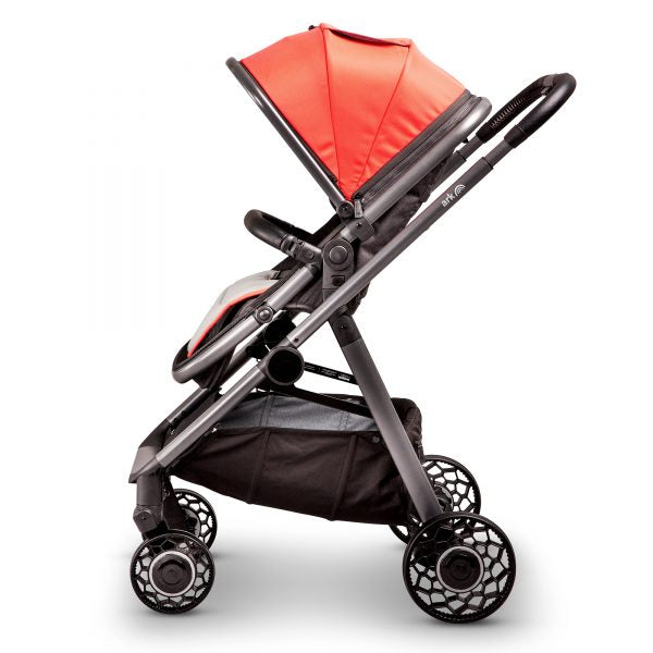 The Ark Travel System - Coral